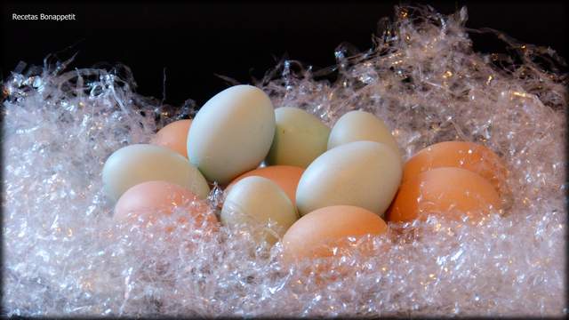Huevos de gallinas araucanas